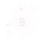 Multi Blockchain Support